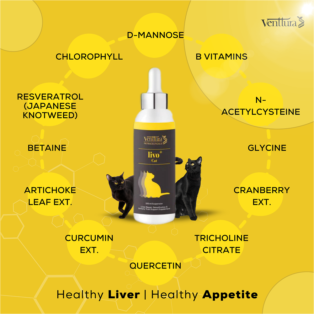 Venttura Liver Repair, Support Recovery & Recuperation Supplement for Cats image 2