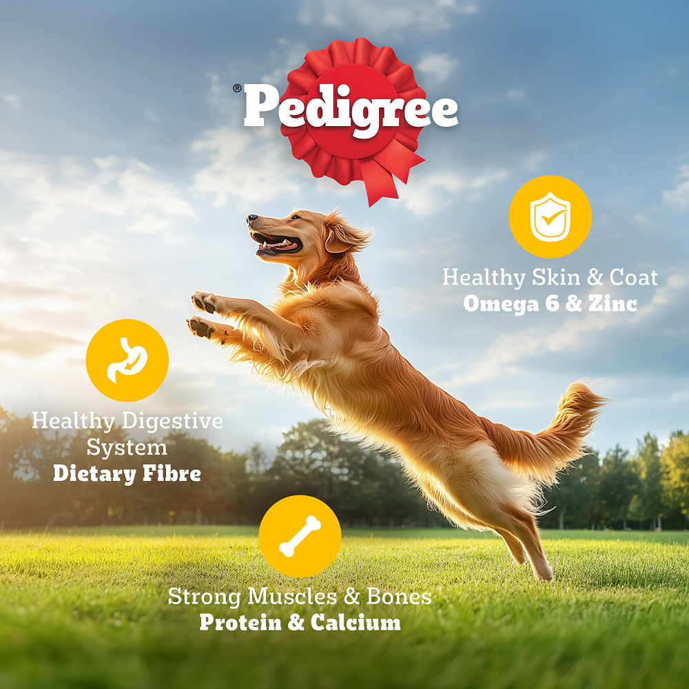 Pedigree Chicken and Vegetables Adult Dog Dry Food image 4