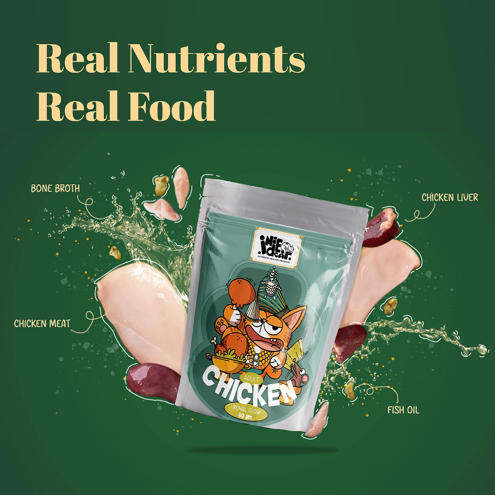 IndieCat Royal Glow Chicken Adult Cat Wet Food image 5