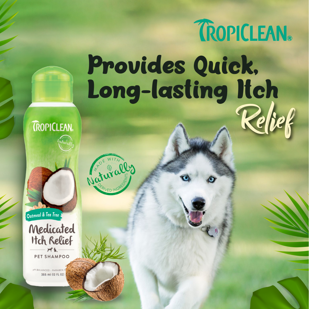 Tropiclean Medicated Oatmeal & Tea Tree Shampoo for Dogs image 6