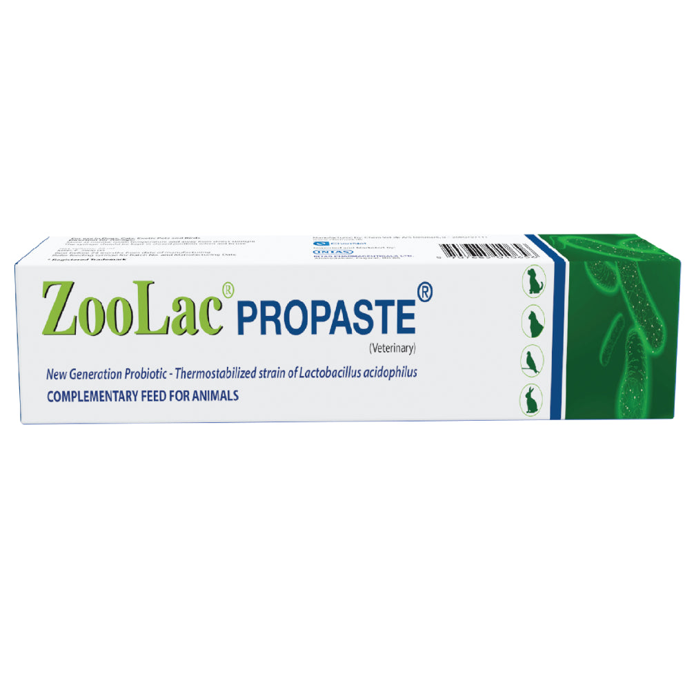 Intas Zoolac Propaste Probiotics for Dogs and Cats image 2