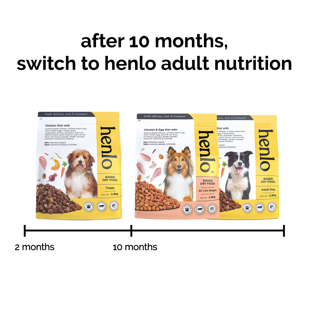 Henlo Chicken & Veg Baked Dry Food for Puppies & Small Breed Dogs | 100% Human Grade Ingredients - 1kg image 8
