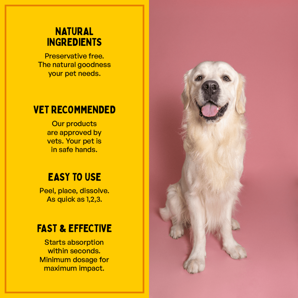 Furlicks Multivitamin for Cats and Dogs image 3