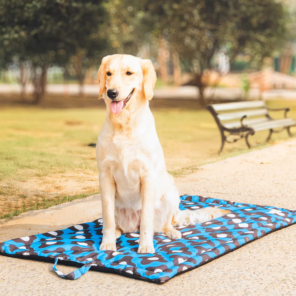 Pet Set Go Bliss Mat for Dogs and Cats (Blue) image 2
