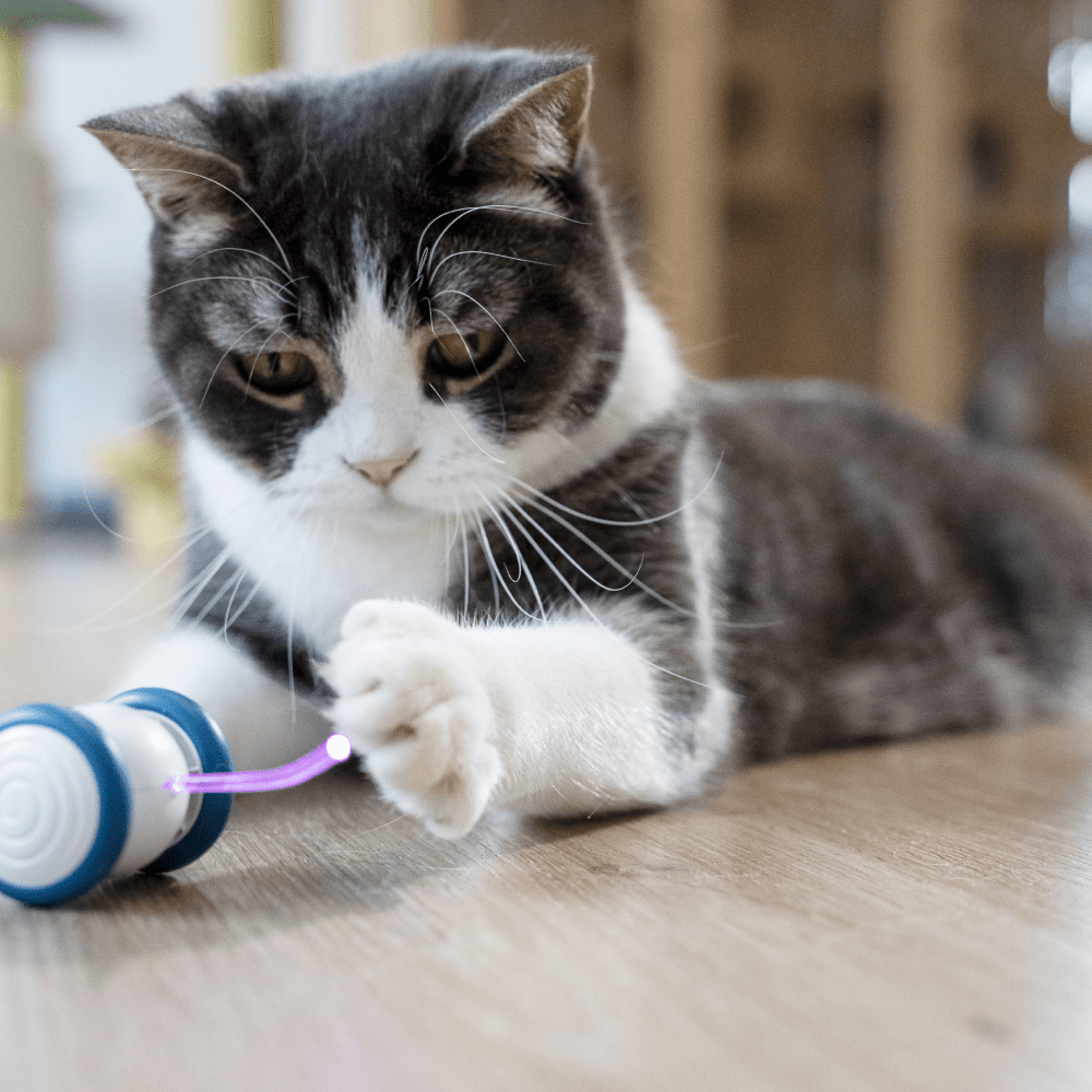 Cheerble Wicked Mouse Interactive Toy for Cats (Blue) image 8
