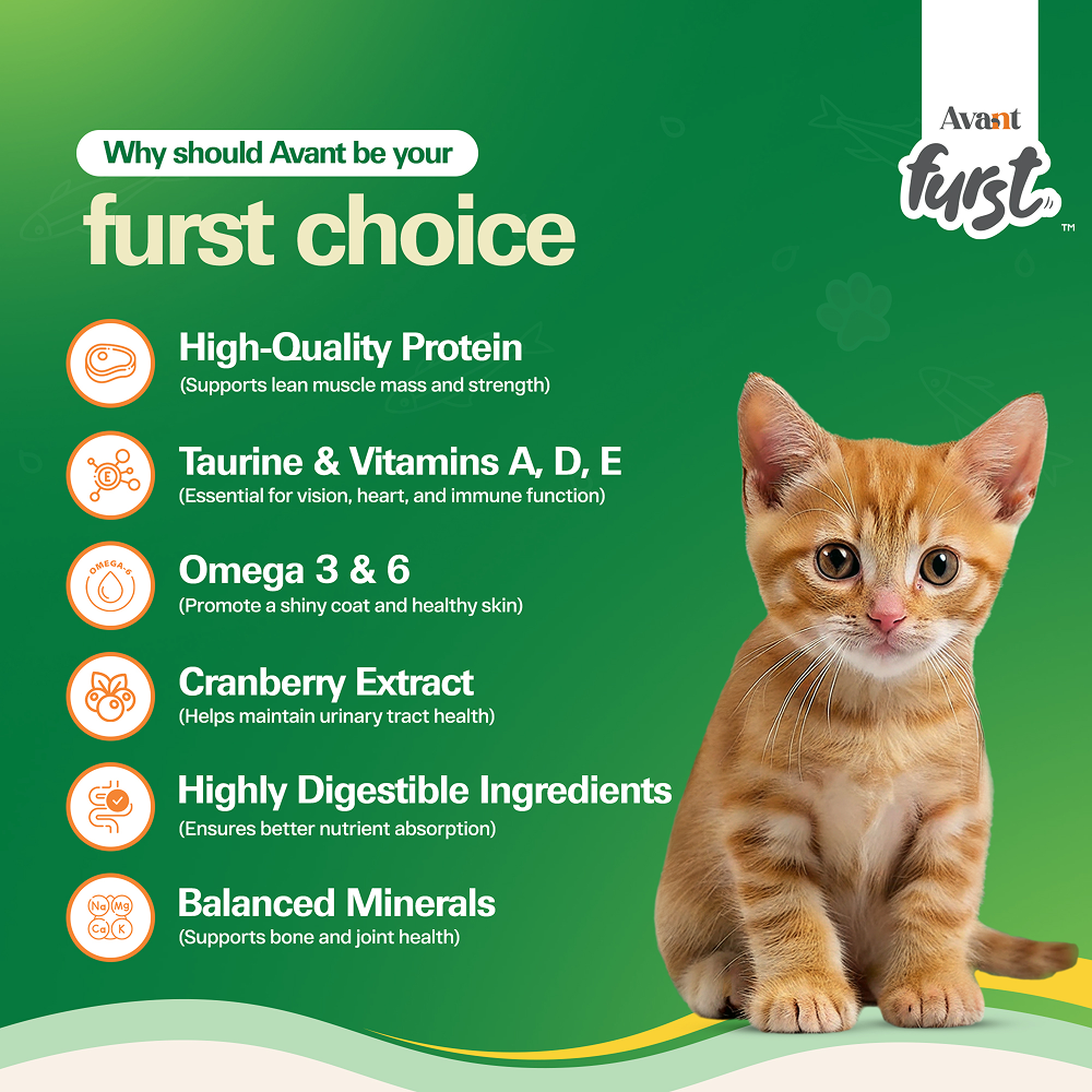 Avant Furst Tuna Fish Flavour Kitten Cat Dry Food image 5