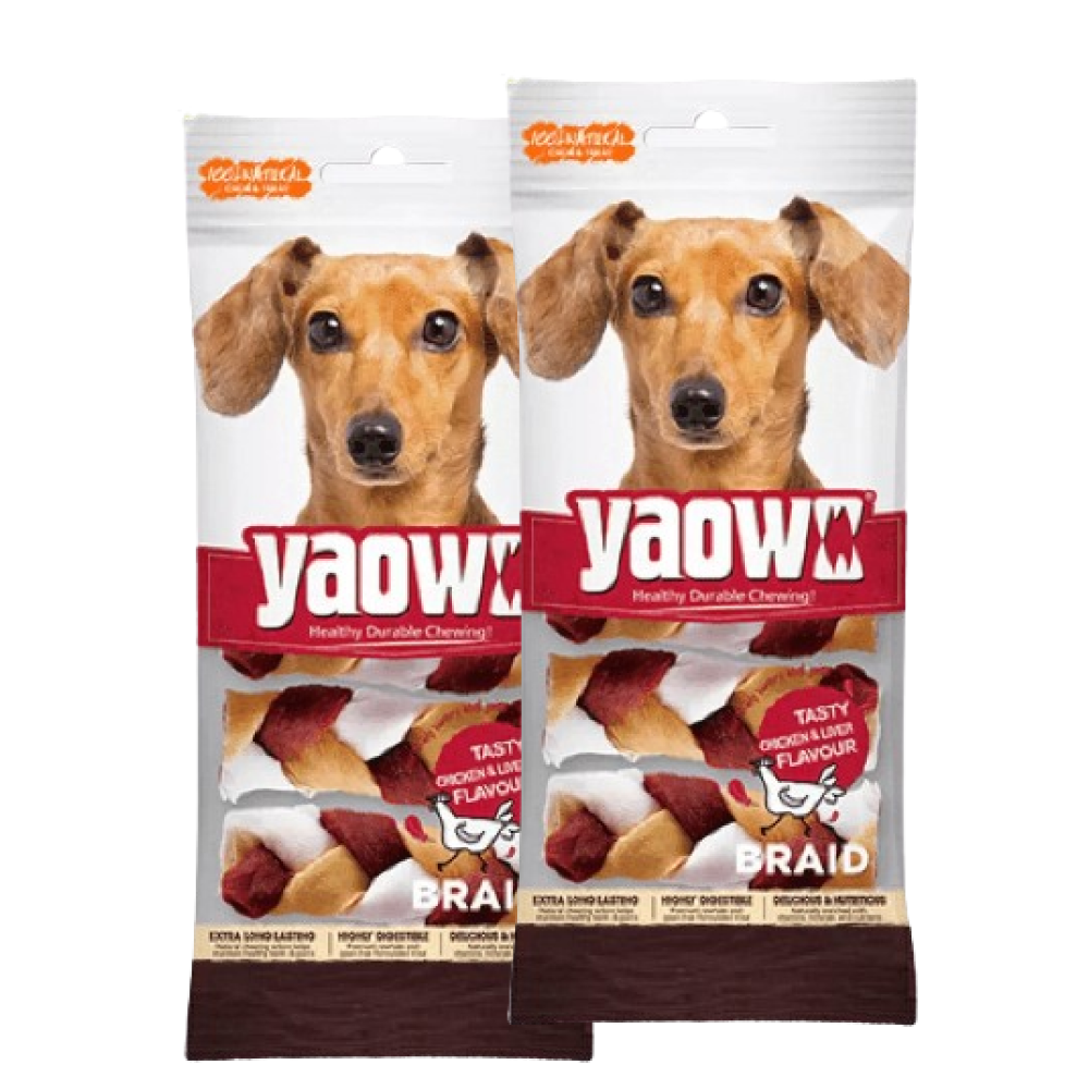 Gnawlers Yaowo Braid Chicken and Liver Dog Treats (12.5cm) image 2