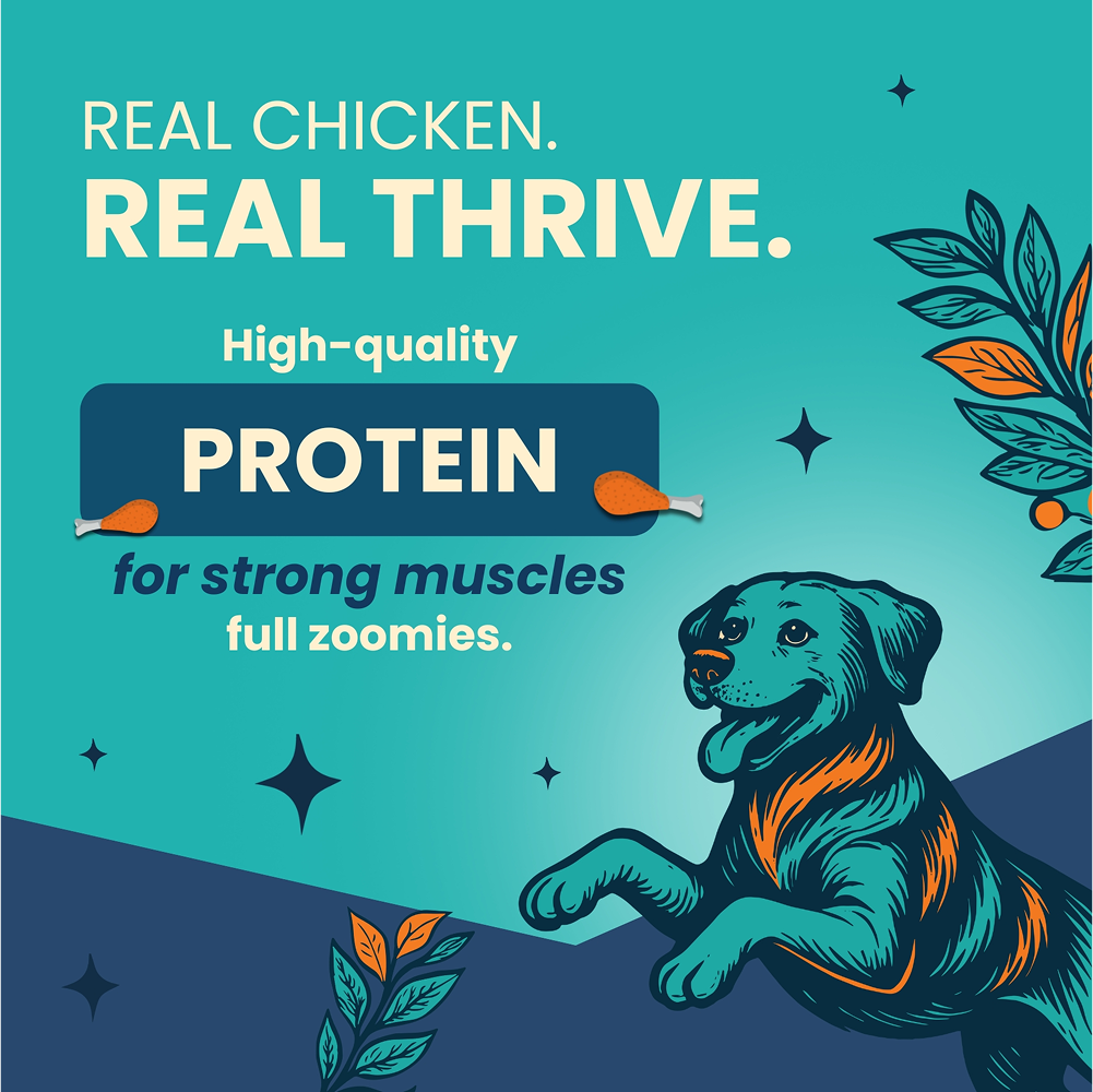 Bark Out Loud Thrive Chicken Flavour Adult Dog Dry Food image 4