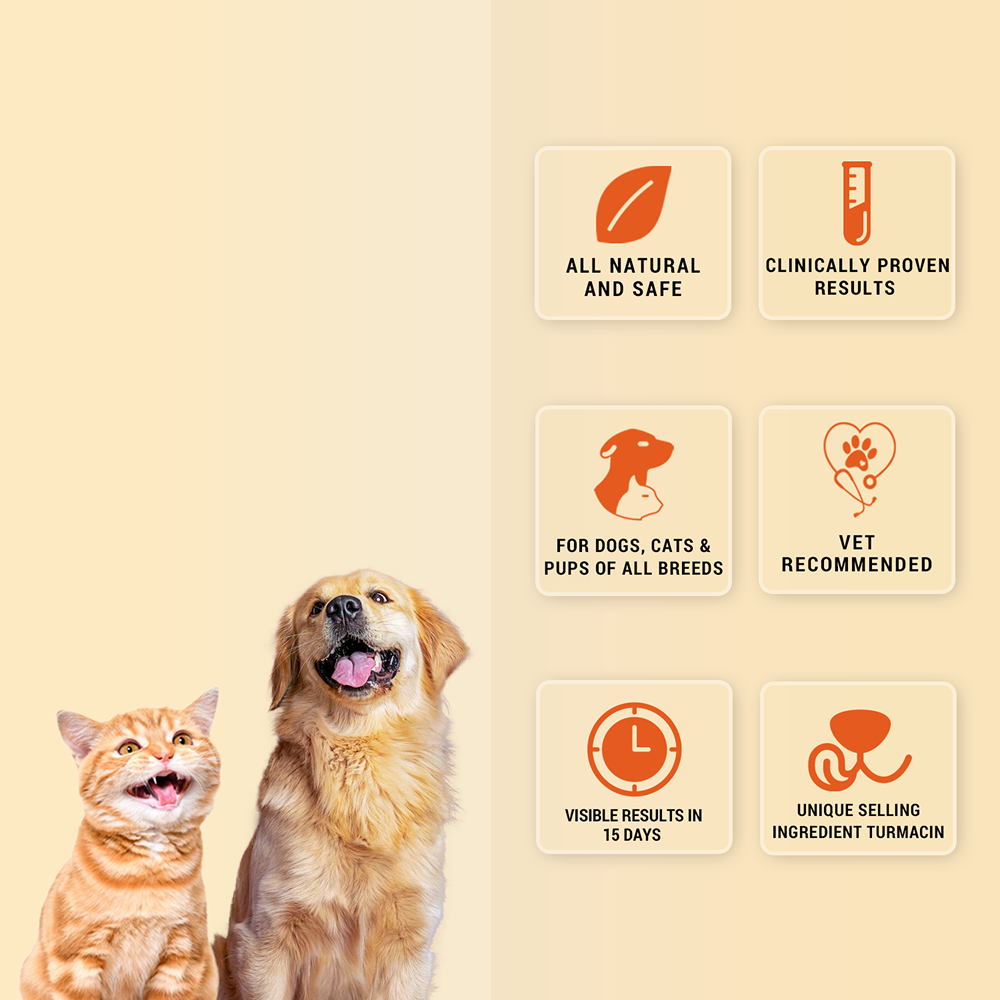 Natural Remedies Orthoron Joint Supplement Tablets for Dogs and Cats image 3
