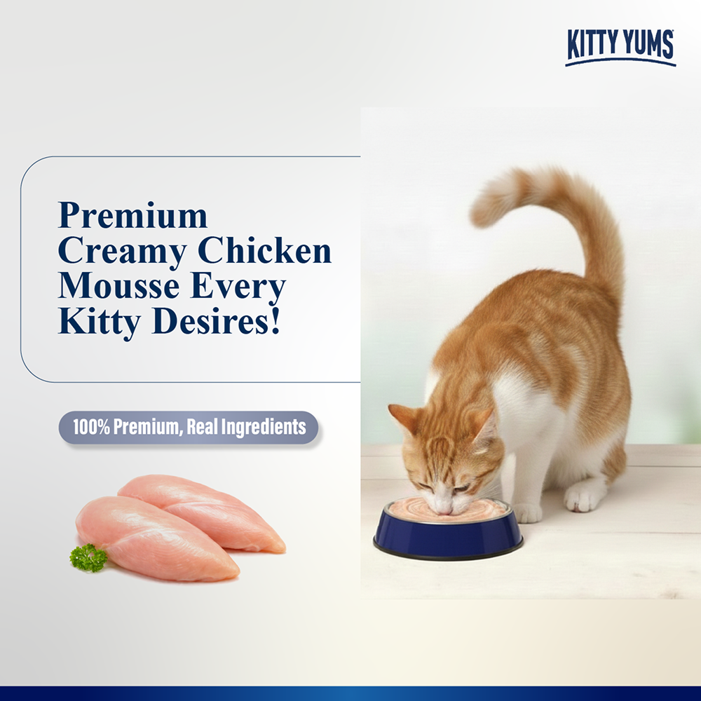 Kitty Yum Chicken Mousse Adult Cat Wet Food image 3