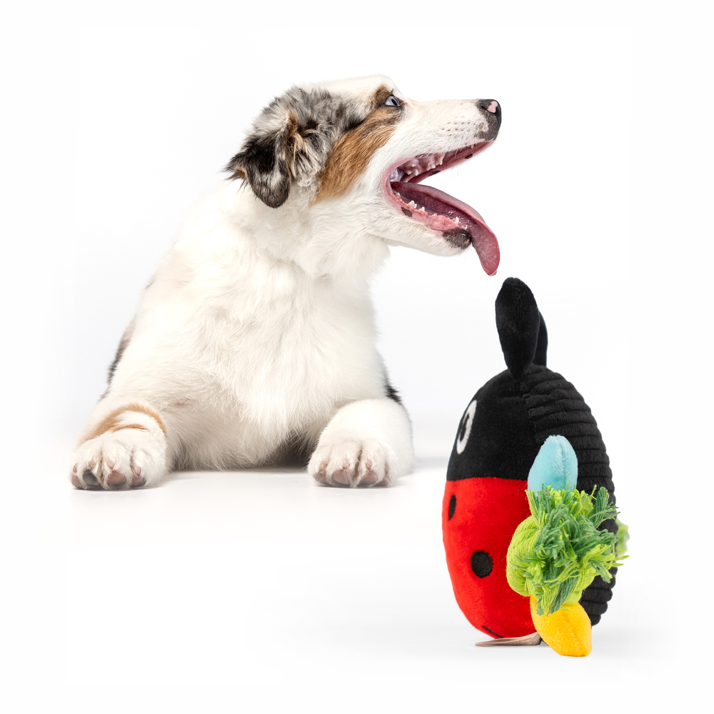 Barkbutler x Fofos Garden Ladybug Plush Toy for Dogs image 9