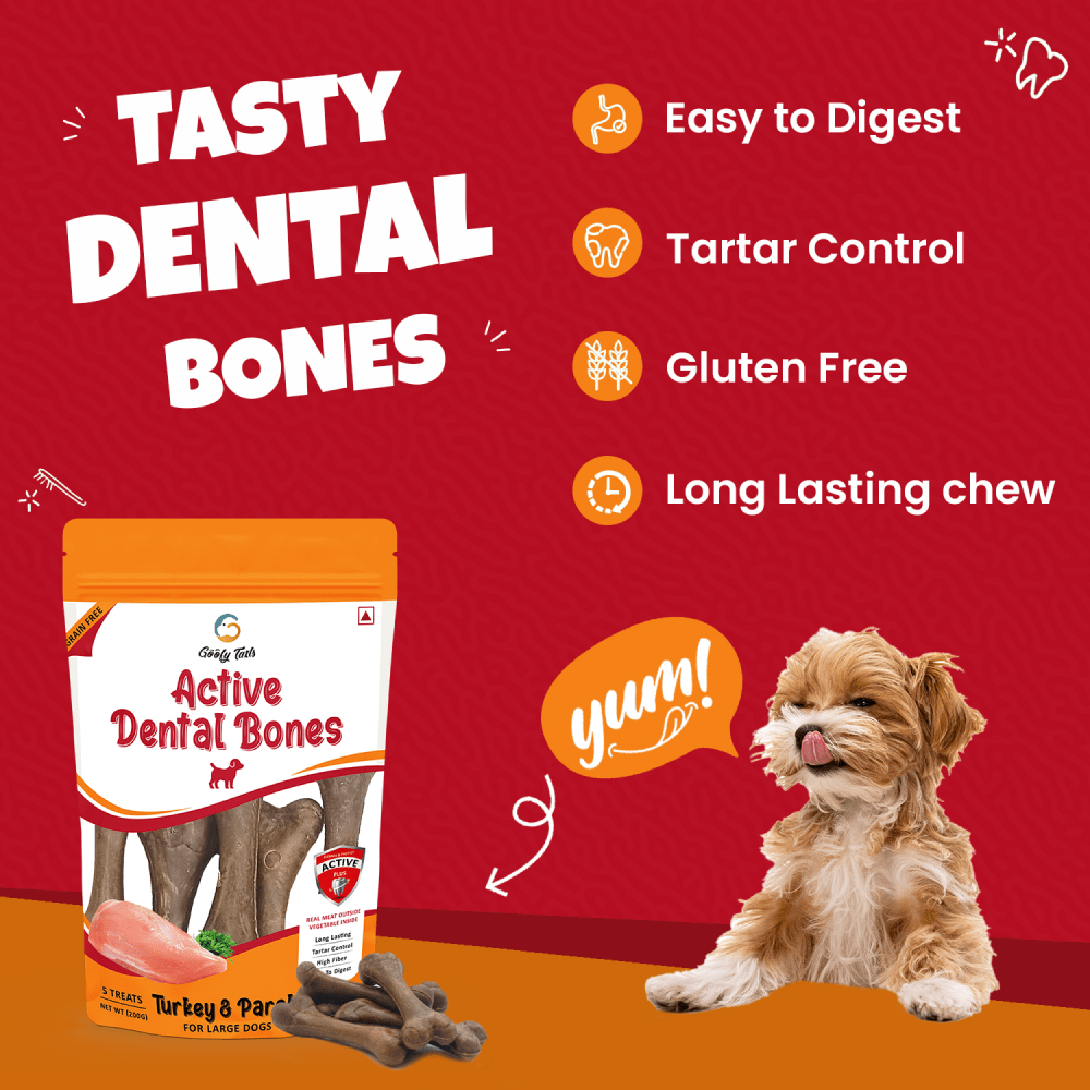 Goofy Tails Turkey and Parsley Active Dental Bone Dog Treats image 4