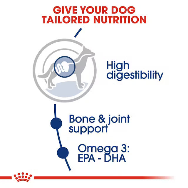 Royal Canin Maxi 5+ years of Age Dogs Dry Food image 2