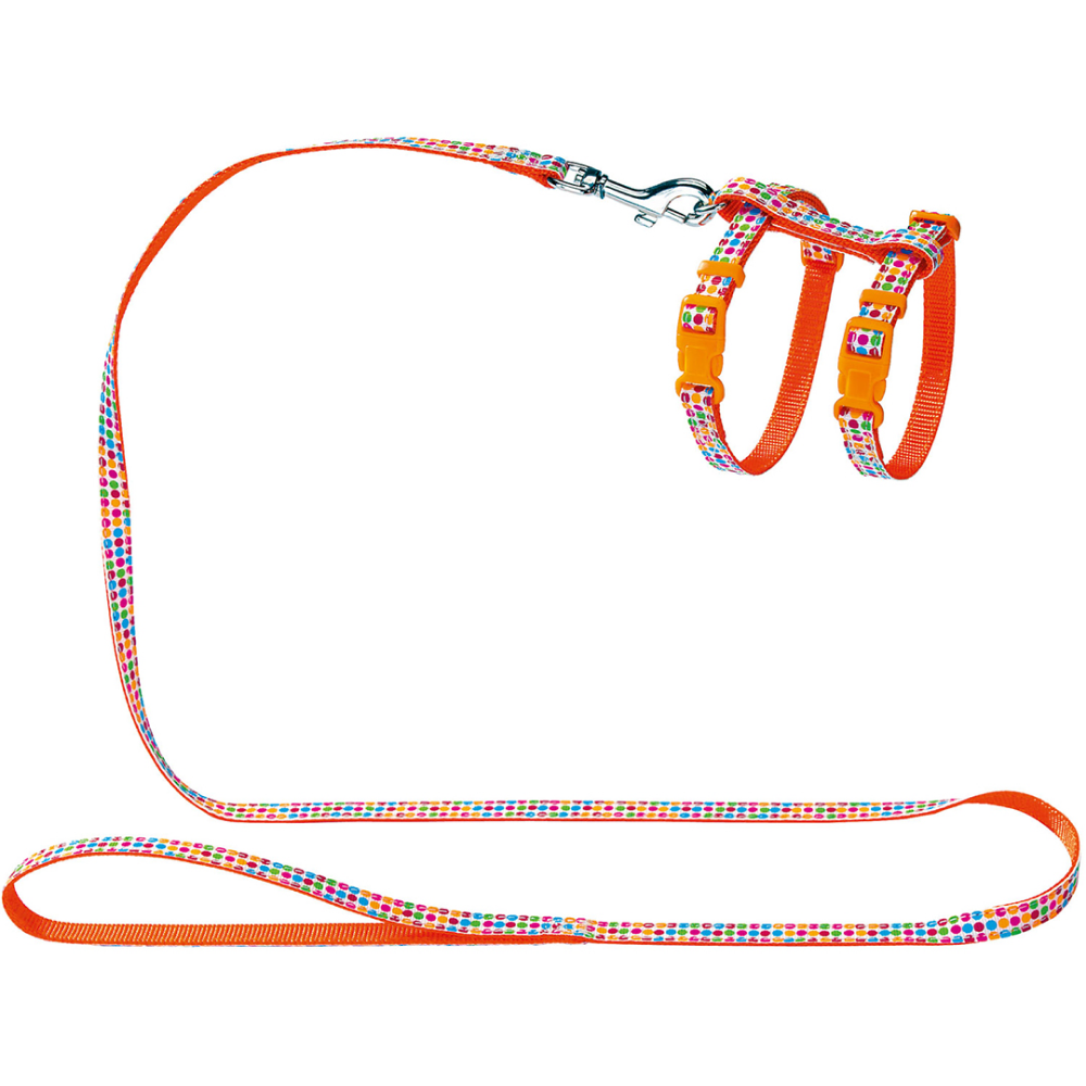 Hunter Sweet Set Nylon Harness and Leash for Puppy & Kitten (Orange) image 1