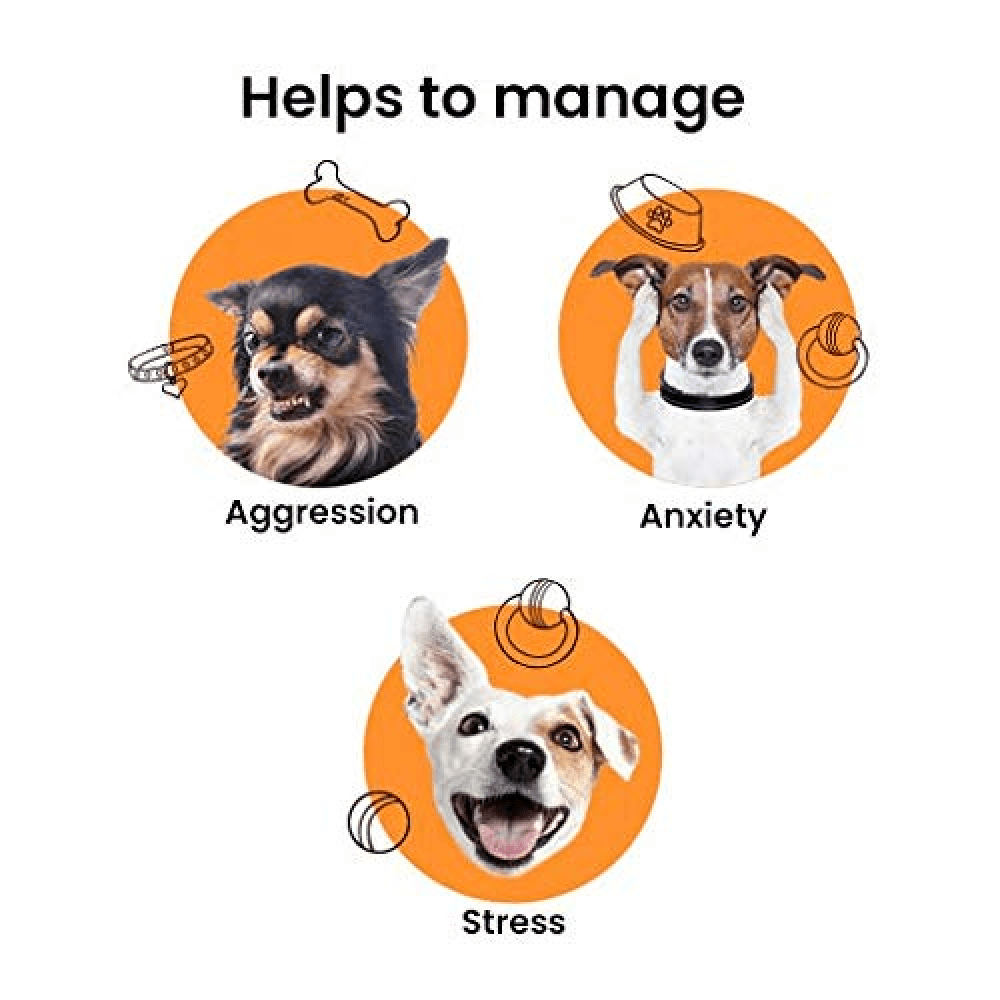 Bark Out Loud Calming & Anti Anxiety Supplements for Dogs and Cats image 3