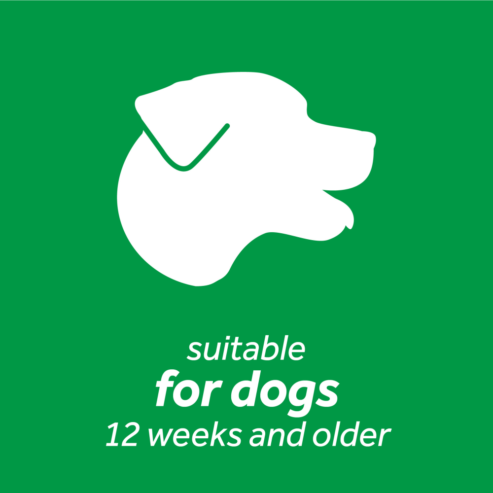 Tropiclean Advanced Whitening Oral Care Water Additive for Dogs image 7
