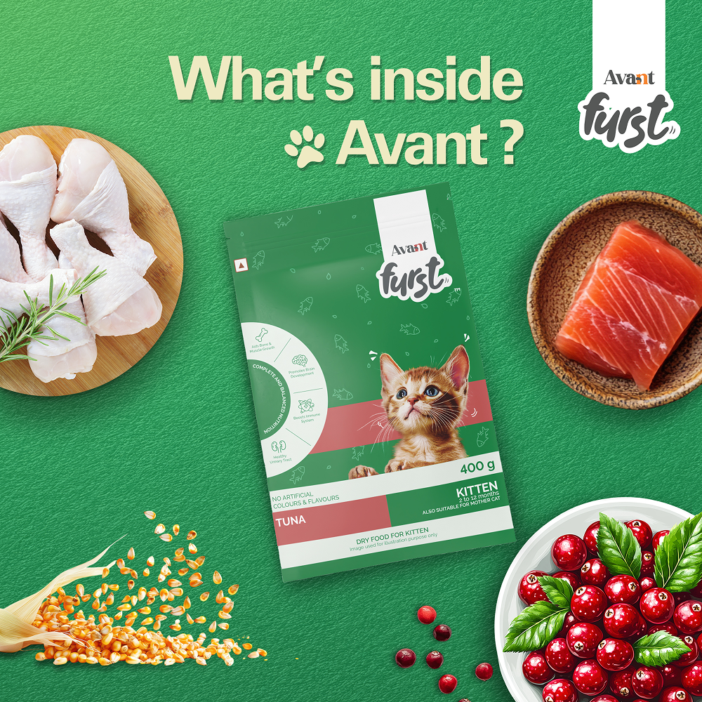 Avant Furst Tuna Fish Flavour Kitten Cat Dry Food image 6