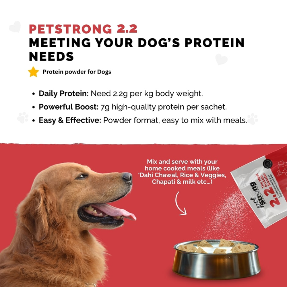 PetStrong 2.2  Meal Protein Booster for Dogs image 7