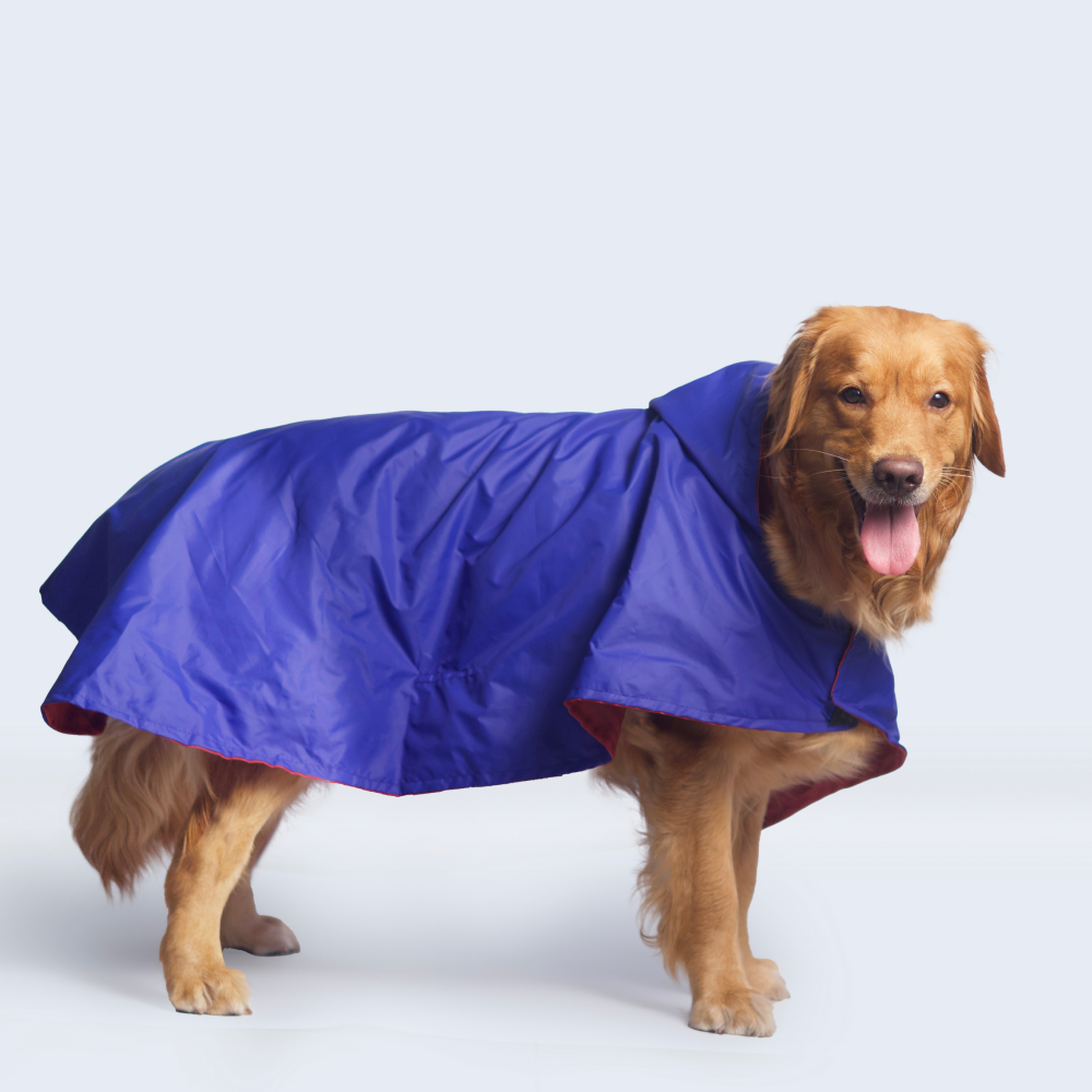 Pet Set Go Cape Style Raincoat for Dogs (Blue) image 6