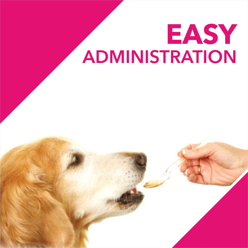 Drools Absolute Skin & Coat Syrup Supplement for Dogs image 3