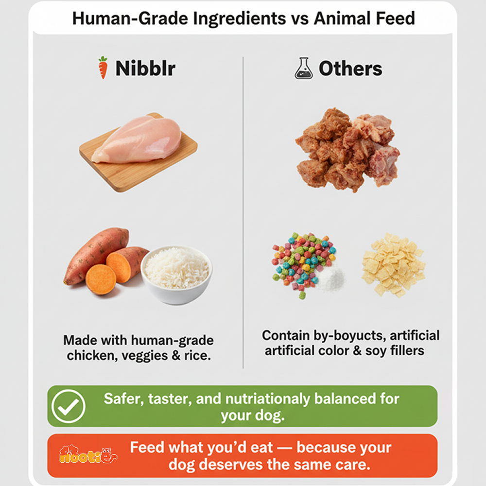 Nibblr By Nootie Wholesome Chicken Sweet Potato & Rice Ready to Eat Meal Dog Wet Food image 6
