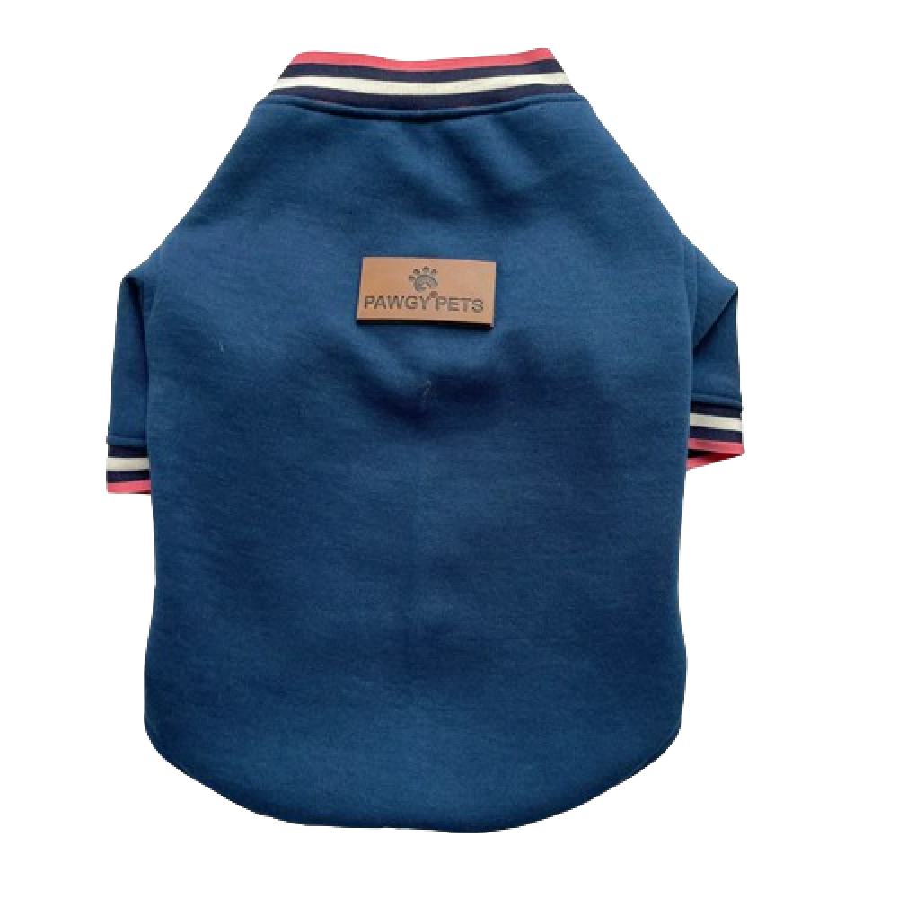 Pawgypets Candy Blue Sweatshirt for Dogs and Cats image 2