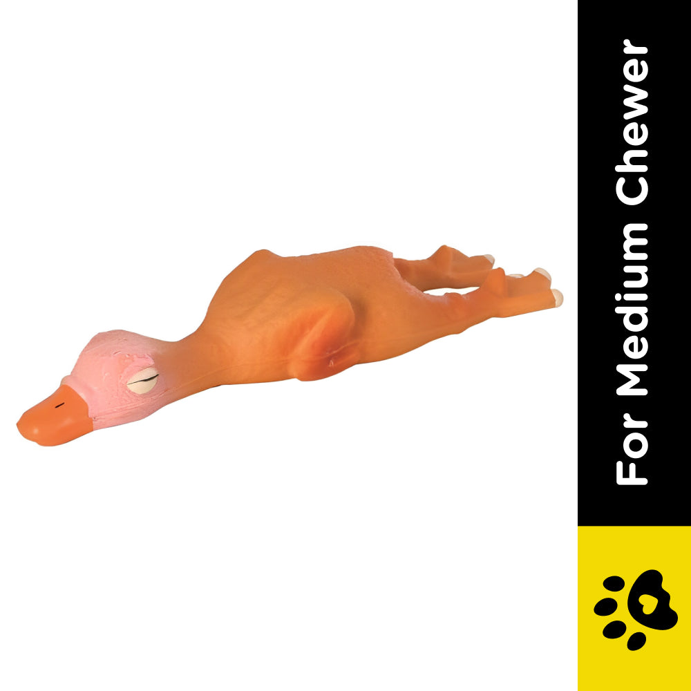 Trixie Duck Latex Toy for Dogs | For Medium Chewers image 2