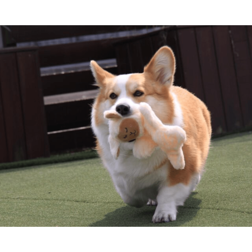 Barkbutler x Fofos Glove Plush Sheep Toy for Cats image 6