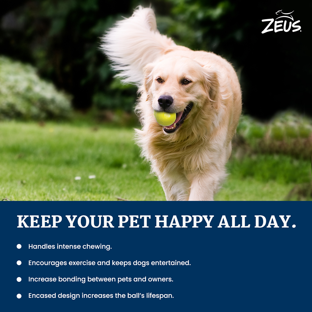 Zeus Tpr Encased Tennis Ball Toy for Dogs (Blue & Yellow) image 4