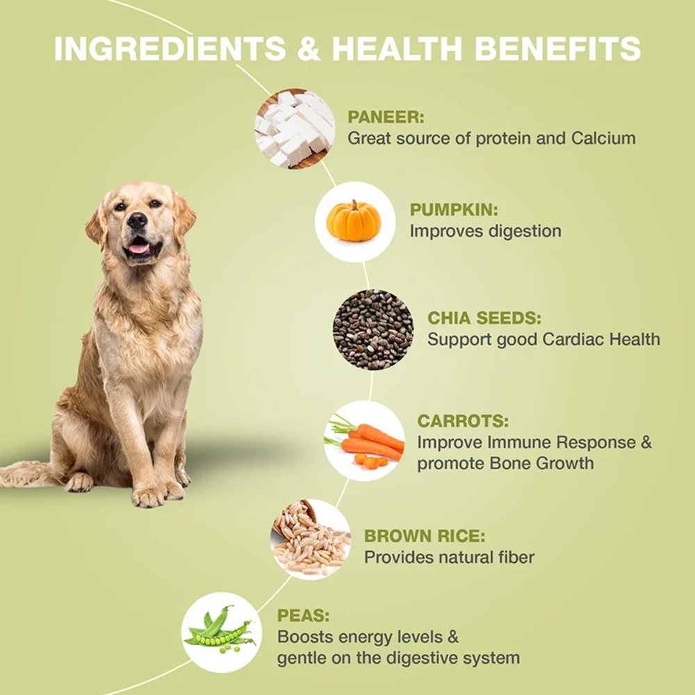 Bennys Bowl Variety Pack Dog Fresh and Wet Food image 7