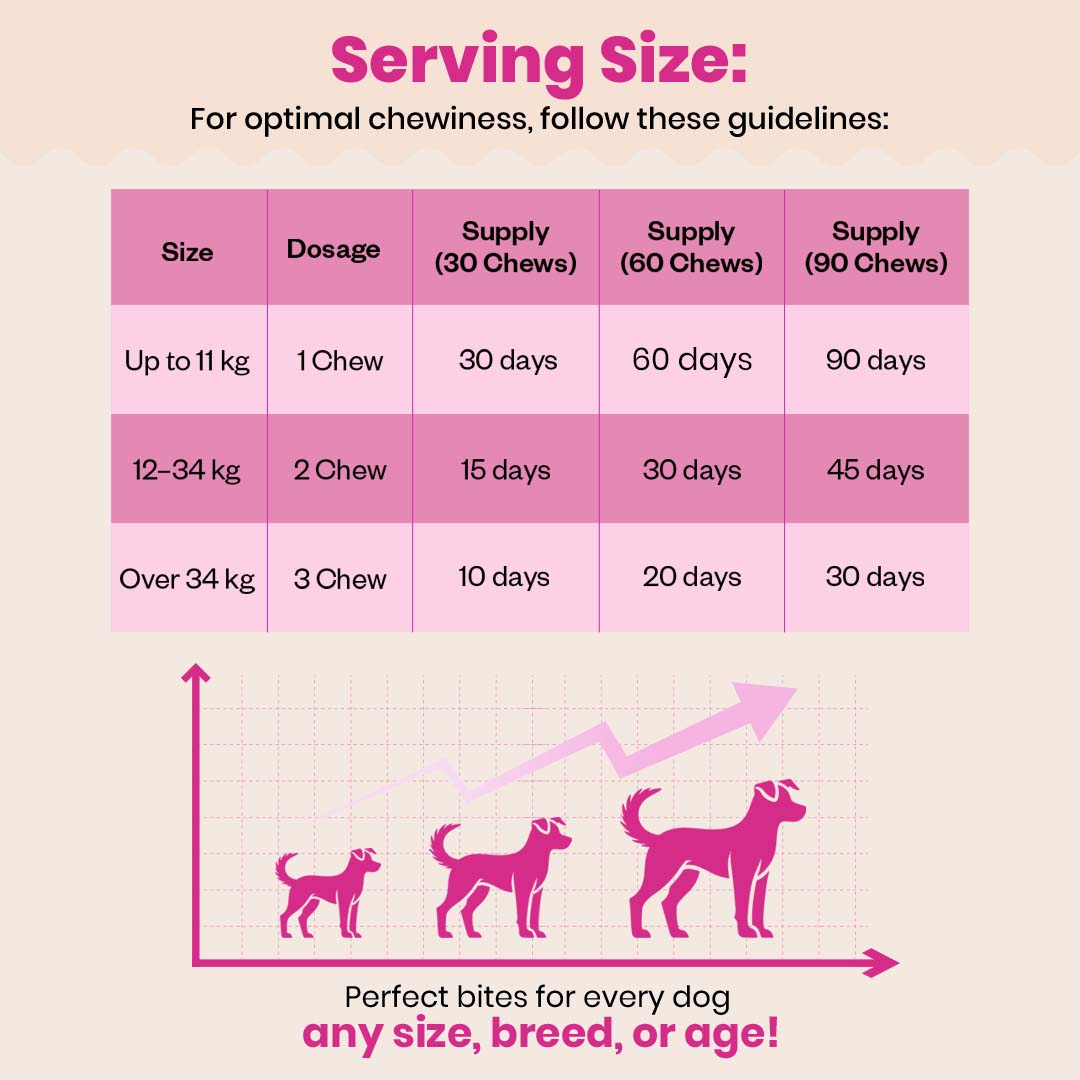 TailsAlive Probiotic Chicken Flavor Soft Chews Supplements for Dogs image 6
