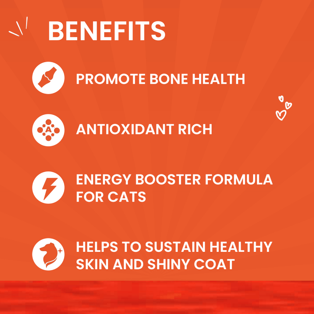 Goofy Tails Chicken and Flaxseed Cat Wet Food image 3