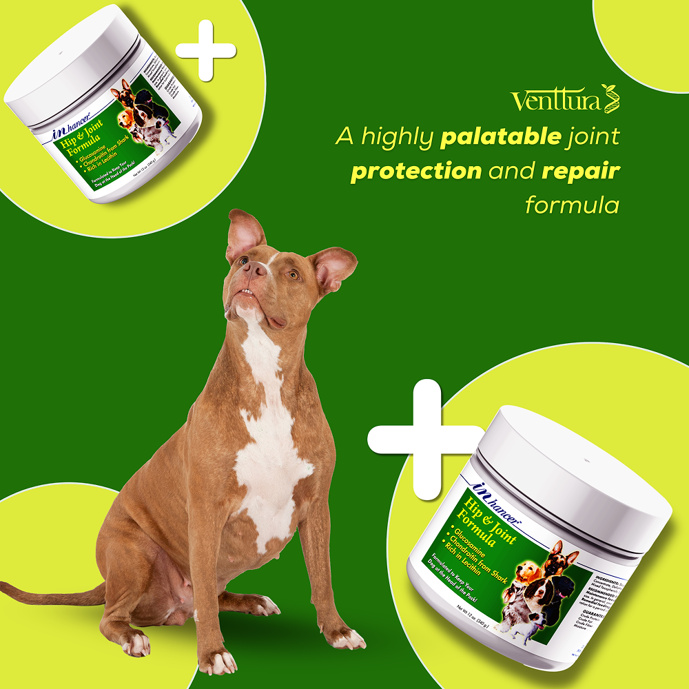 Venttura Inhancer Hip & Joint Soft Nuggets Supplements for Dogs image 6