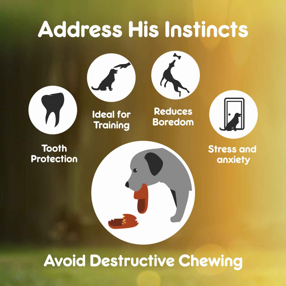 Purepet Chew Bone Dog Treats image 4