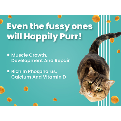 Bark Out Loud Salmon and Chicken Kitten Dry Food image 6