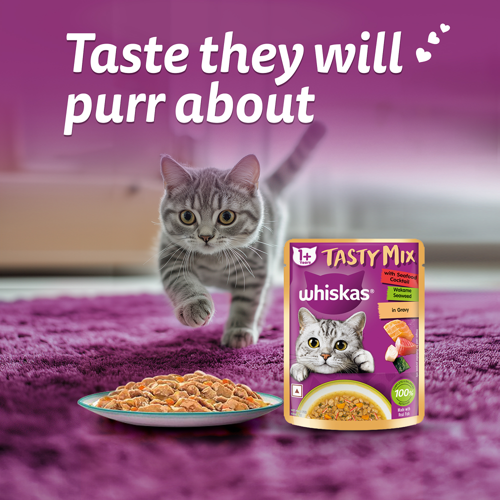 Whiskas Seafood Cocktail With Wakame Seaweed in Gravy Tasty Mix Adult Cat Wet Food image 10