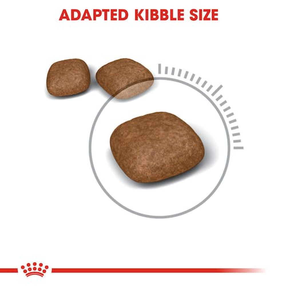 Royal Canin Urinary Care Adult Cat Dry Food image 3