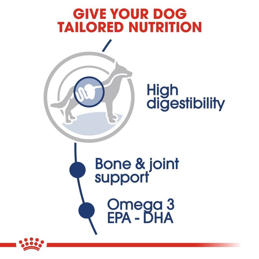 Royal Canin Maxi Adult Dog Wet Food image 4