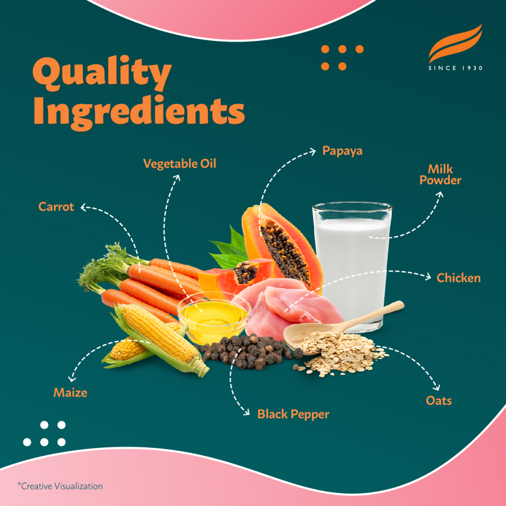 Himalaya Chicken & Milk Healthy Pet Puppy Dry Food image 3