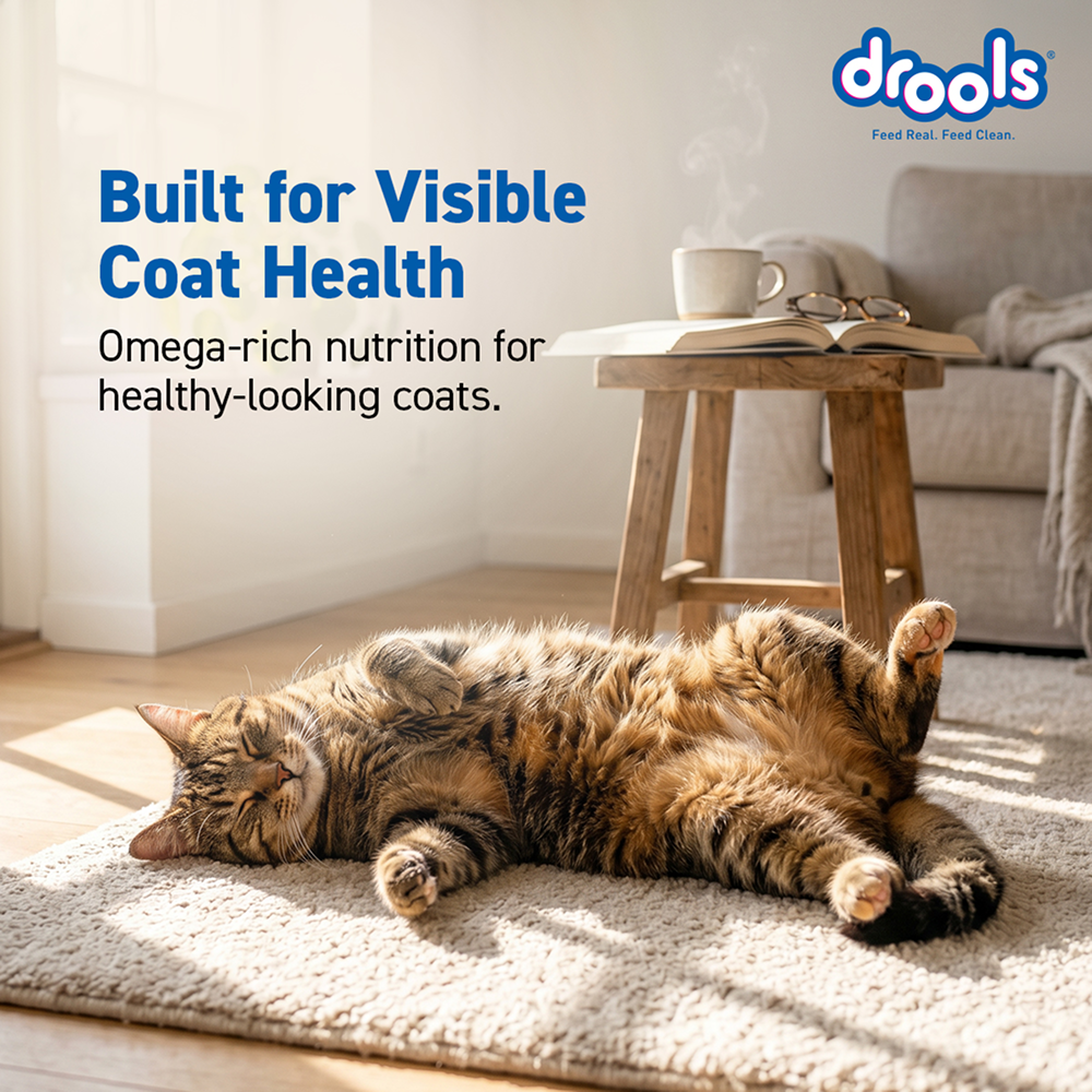 Drools Ocean Fish Adult Cat Dry Food image 9
