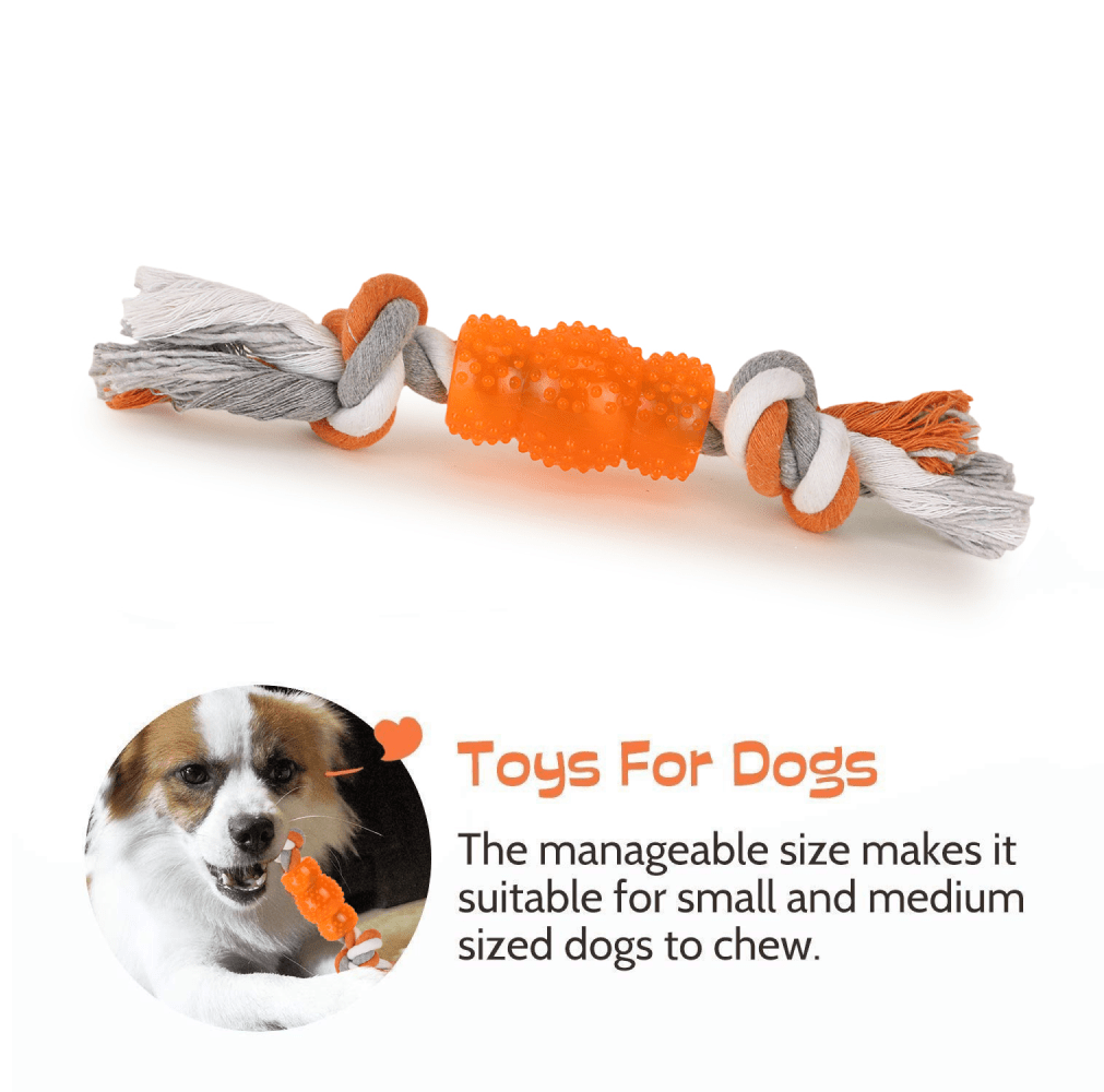 Basil Cotton Rope Rubber Chew Toy with Hard TPR Centre for Dogs (Orange) image 4