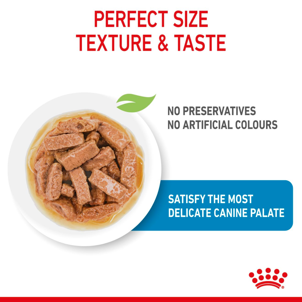 Royal Canin Maxi Puppy Dog Wet Food image 4