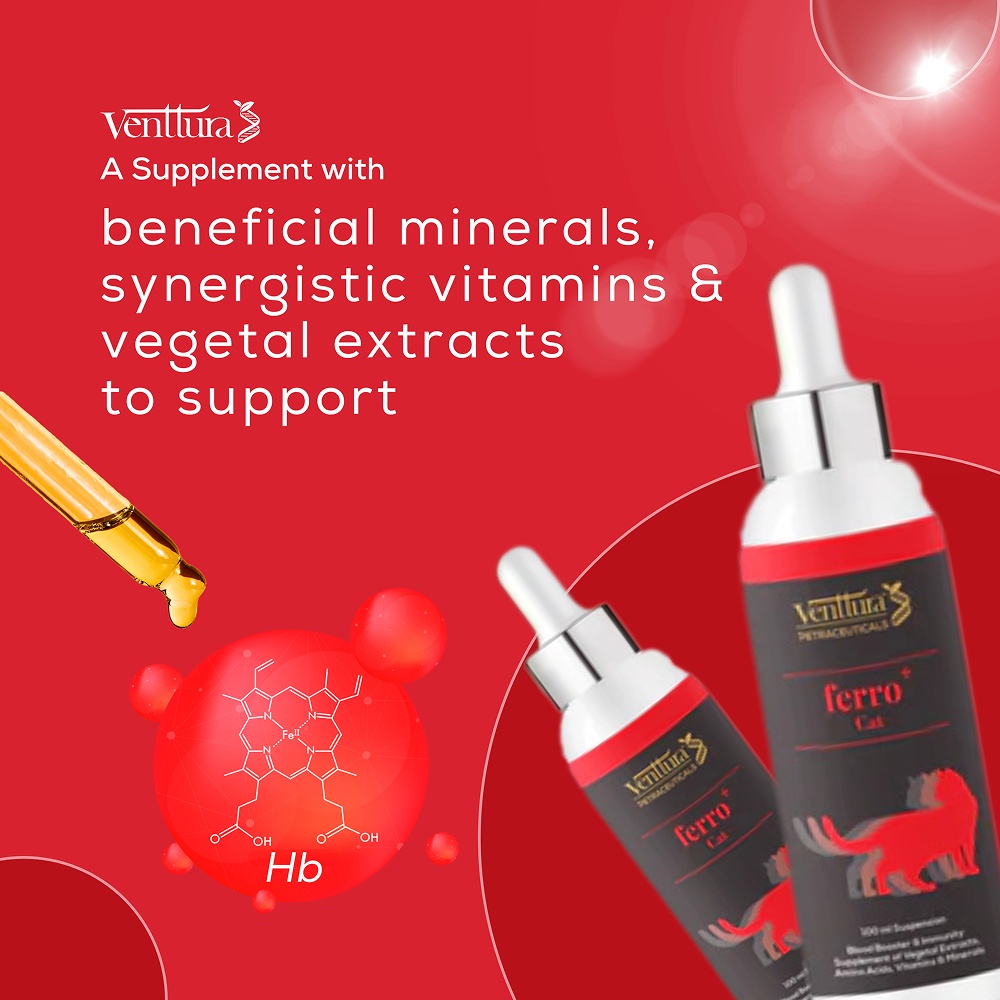 Venttura Ferro Blood Booster & Immunity Supplement for Cats image 5