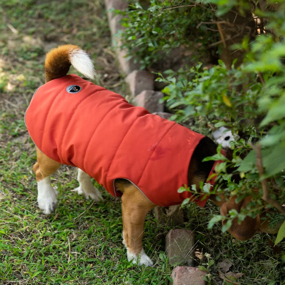 Petsnugs Water Resistant Jackets for Dogs and Cats (Rust) image 2