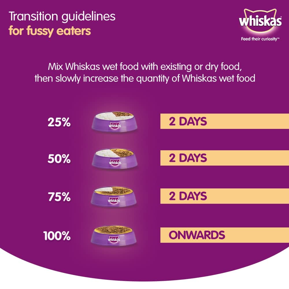 Whiskas Chicken in Gravy Meal Kitten Wet Food and Ocean Fish Kitten Dry Food Combo image 6