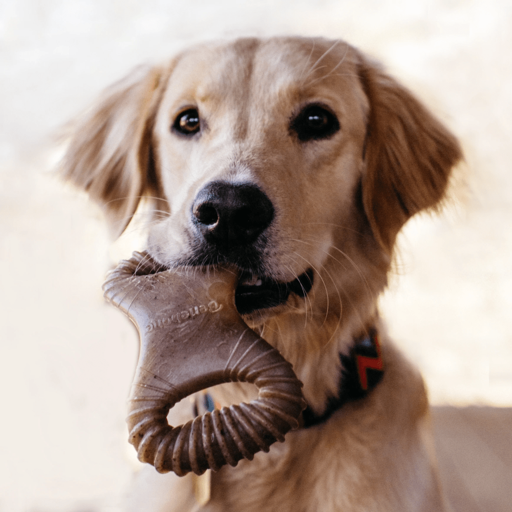 Benebone Peanut Butter Flavored Dental Chew Toy for Dogs | For Aggressive Chewers image 6