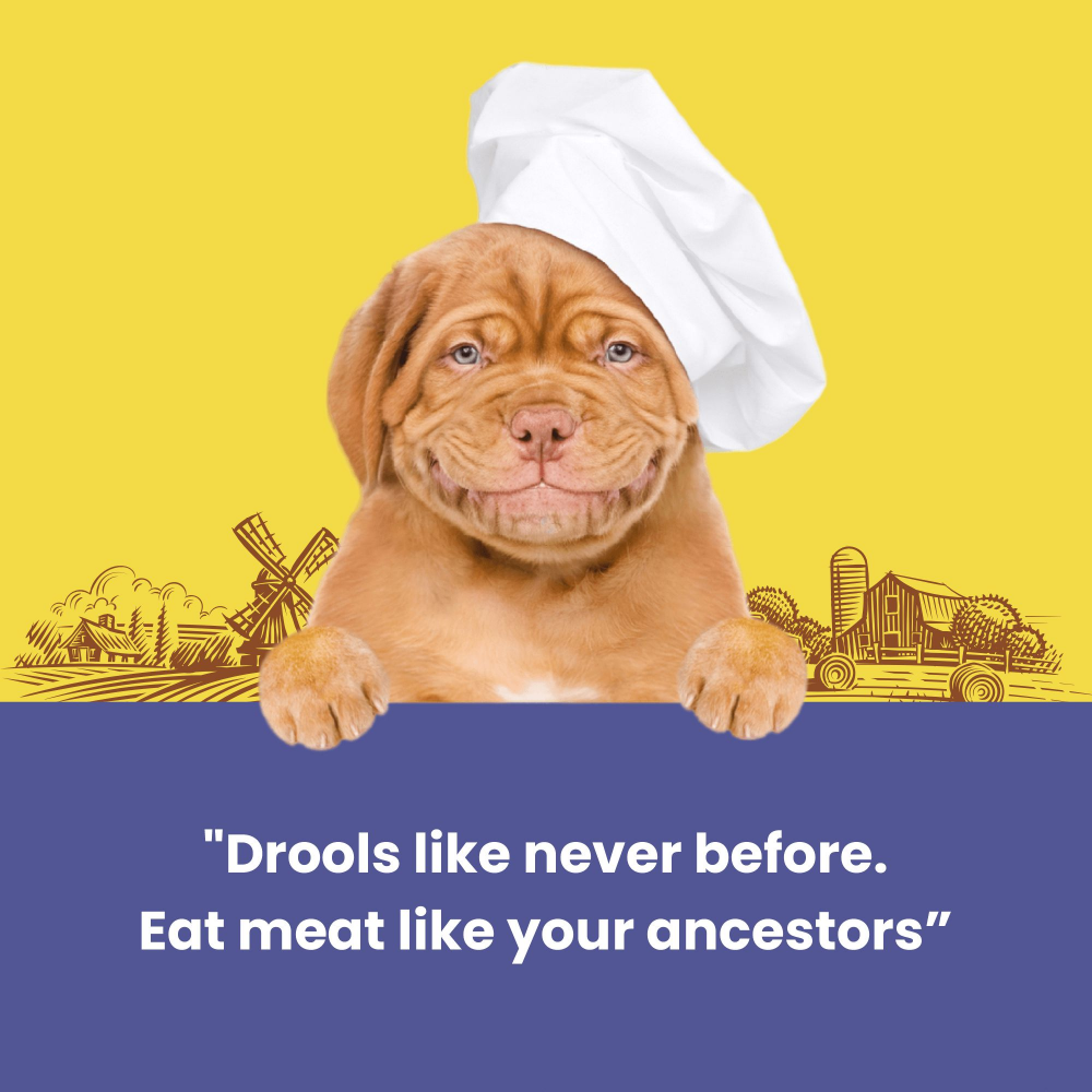 Dogfest Duck Meat Sticks Dog Treats image 3