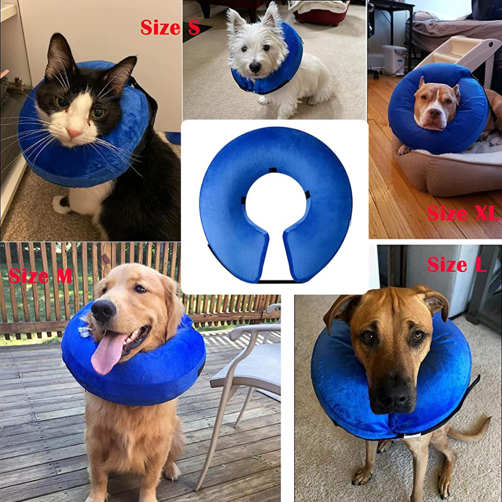 QPets Inflatable E Collar for Dogs and Cats (Blue) image 7