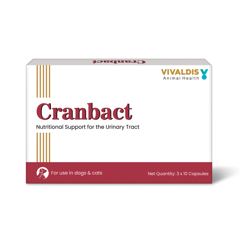 Vivaldis Cranbact Capsules for Dogs and Cats (pack of 30 capsules) image 5