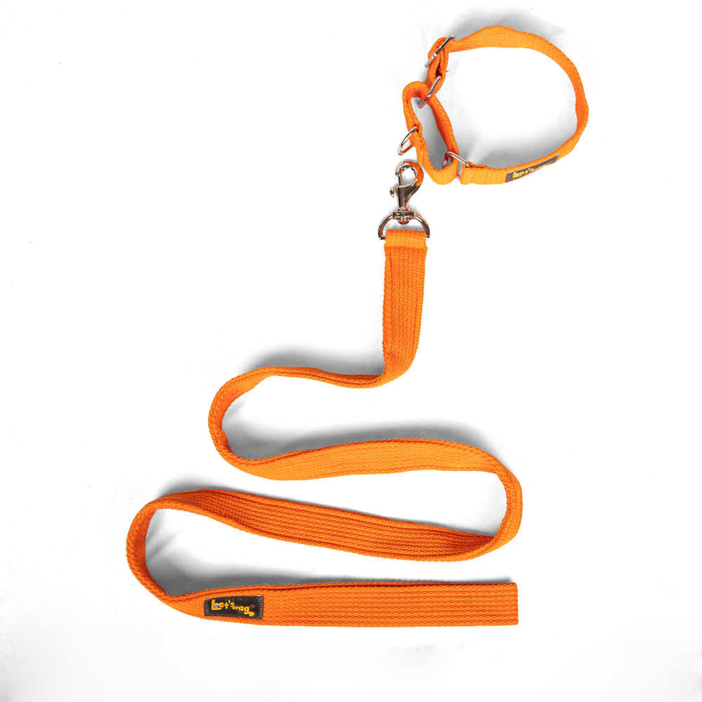 Let's Wag Single Handle Fabric Leash for Dogs (Orange) image 2